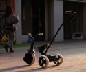 Qplay Rowerek Trójkołowy Elite Pro Black Qplay