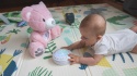 Milly Mally Zabawka pluszowa z Projektorem Szumiś Milly Bear Pink
