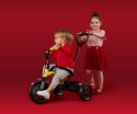 Rowerek Trójkołowy Ant Plus Red Qplay