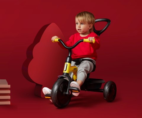 Rowerek Trójkołowy Ant Plus Red Qplay Rowerek Trójkołowy Ant Plus Red Qplay
