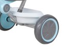 Rowerek Trójkołowy Ant Plus Blue Qplay