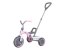 Rowerek Trójkołowy Ant Plus Pink Qplay