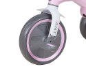 Rowerek Trójkołowy Ant Plus Pink Qplay