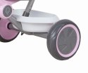 Rowerek Trójkołowy Ant Plus Pink Qplay