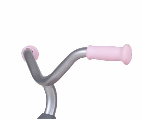 Rowerek Trójkołowy Ant Plus Pink Qplay Rowerek Trójkołowy Ant Plus Pink Qplay
