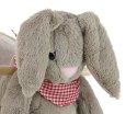 Królik Polly Plus - Grey Bunny Milly Mally