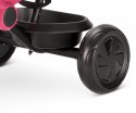Rowerek Trójkołowy Ant Plus Rose Qplay