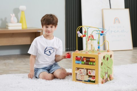 Viga 44591 Kostka edukacyjna 5w1 z labiryntem przestrzennym Viga 44591 Kostka edukacyjna 5w1 z labiryntem przestrzennym